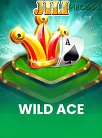 Wild Ace icon